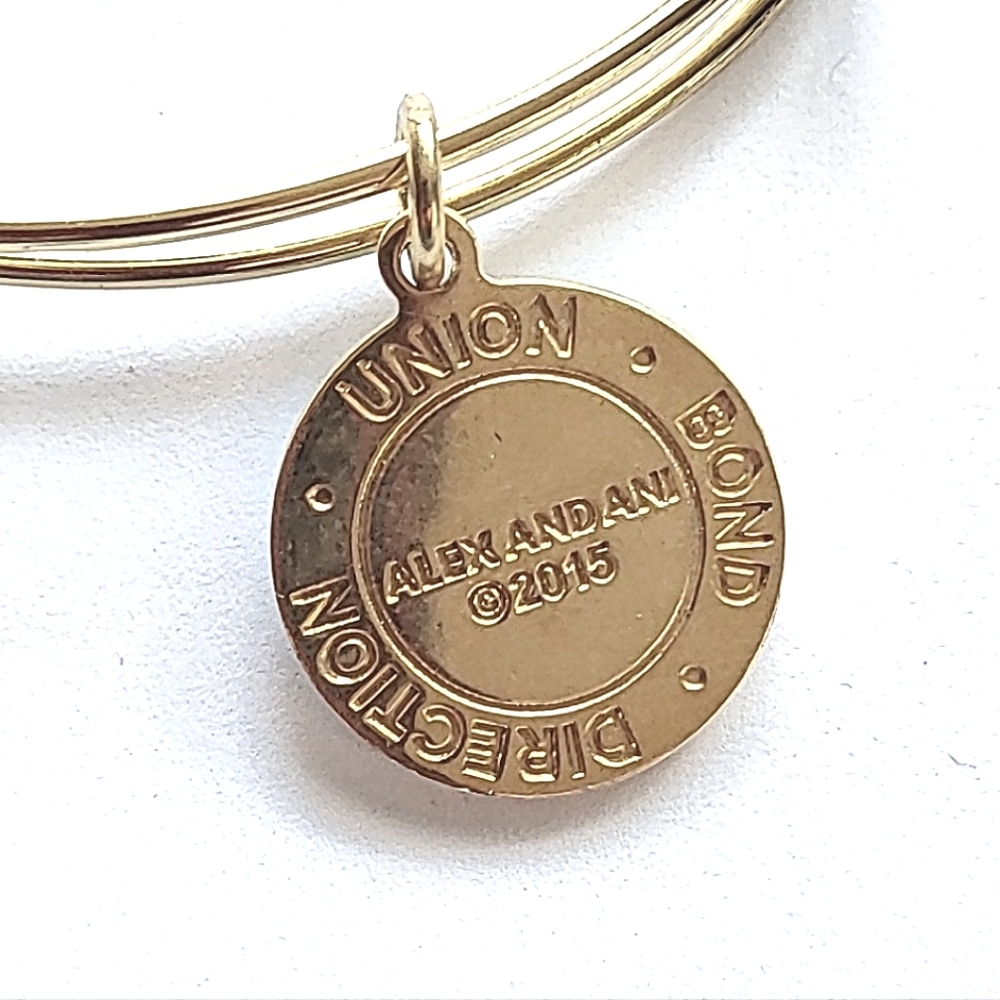 ALEX AND ANI "ARROWS OF FRIENDSHIP" BANGLE BRACELET - Picture 5 of 7